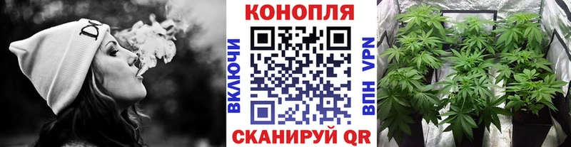 Конопля MAZAR  Купить закладки  Лысково 